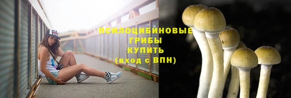 СК Абаза