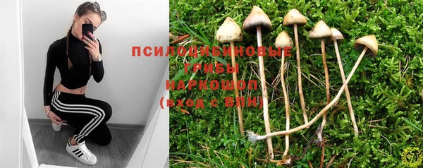 эйфоретик Абдулино